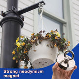 Magnetic Sheep Eye Hook