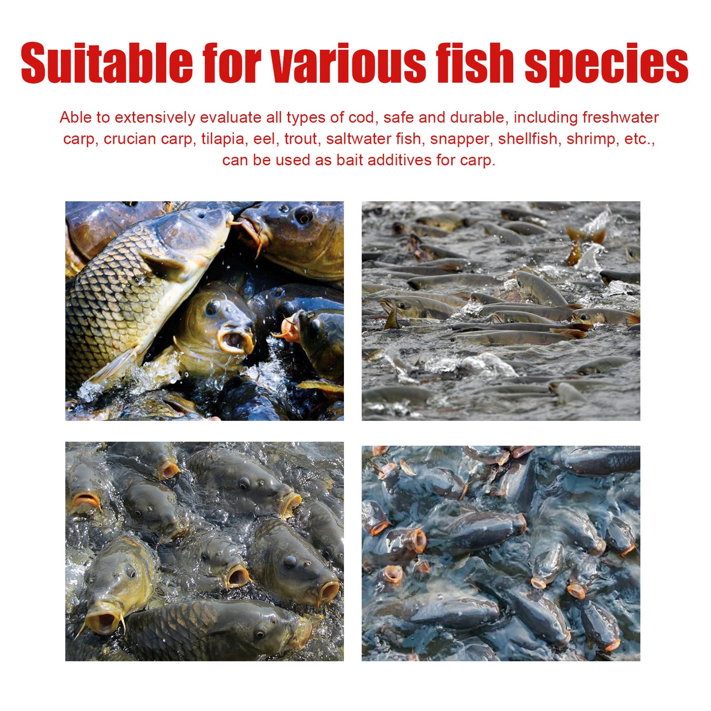 Concentrated Fishing Comprehensive Bait Quickly Hit The Nest