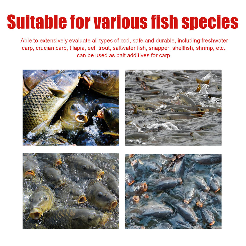 Concentrated Fishing Comprehensive Bait Quickly Hit The Nest