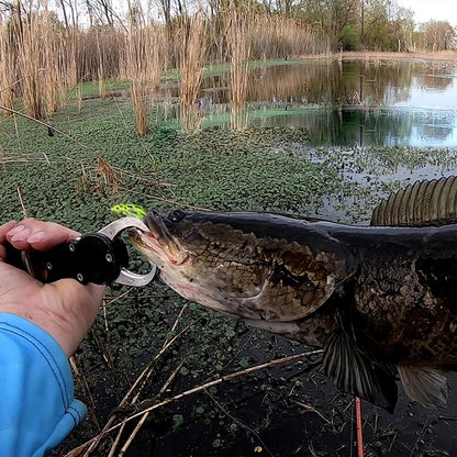 a DOUBLE PROPELLER FROG SOFT BAIT