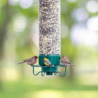 Squirrel-Proof Bird Feeder