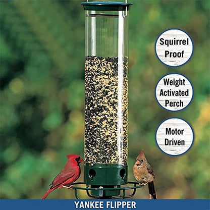 Squirrel-Proof Bird Feeder