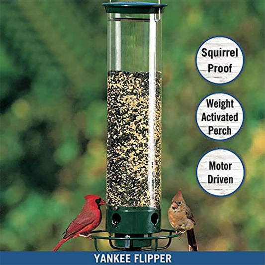 Squirrel-Proof Bird Feeder
