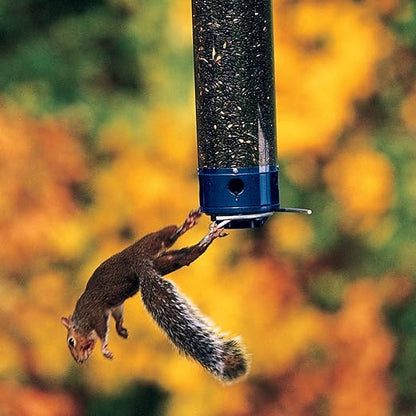 Squirrel-Proof Bird Feeder